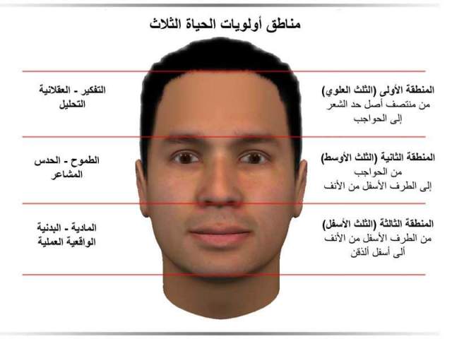 Facial Zones